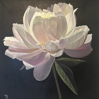 Glowing Peony