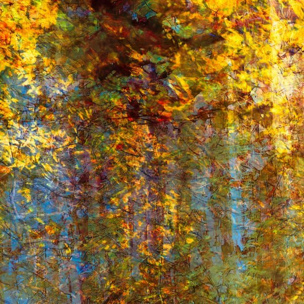 Dodatkowy obraz 1: Modern Fotoimpresjonizm Fotografia "Dzieciństwo, patrzę na", fotograf Oleksandr Shapovalov 