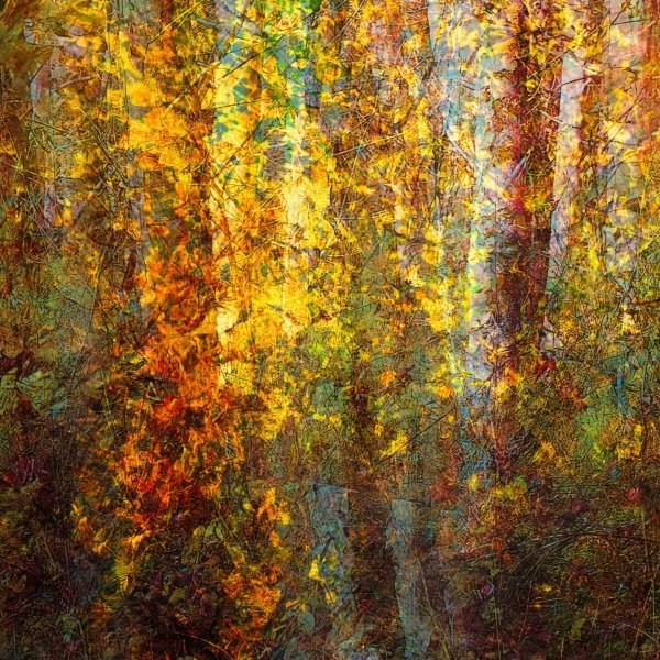 Dodatkowy obraz 2: Modern Fotoimpresjonizm Fotografia "Dzieciństwo, patrzę na", fotograf Oleksandr Shapovalov 