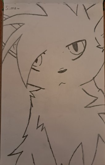 Graphique "Cat", illustrateur Sima crayon papier à la Jose Art Gallery