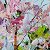 Spring garden – painting