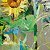 Sunflowers – buy