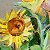 Sunflowers – painting