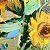 Sunflowers – buy online