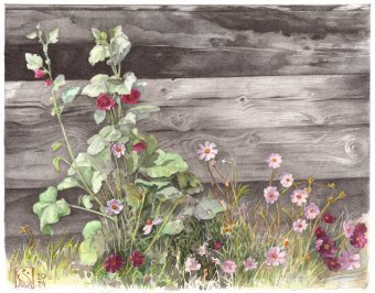 Drawing "Flowers from childhood" by illustrator Julia Suprun pencil paper at Jose Art Gallery
