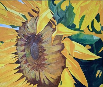 Живопись "Подсолнухи", живописец Ольга Ткачова масло холст в Jose Art Gallery