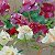 Peonies – buy