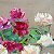 Peonies – painting