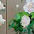 Peonies – order