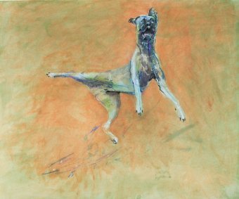 Peinture "La joie de vivre d'un chien sauteur", peintre Lochter Andreas technique mixte carton à la Jose Art Gallery