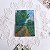 Colorful Forest Path – buy