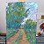 Colorful Forest Path – buy online