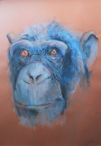 Peinture "Singe bleu", peintre Lochter Andreas technique mixte carton à la Jose Art Gallery