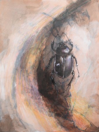 Peinture "Coléoptères III", peintre Lochter Andreas technique mixte carton à la Jose Art Gallery