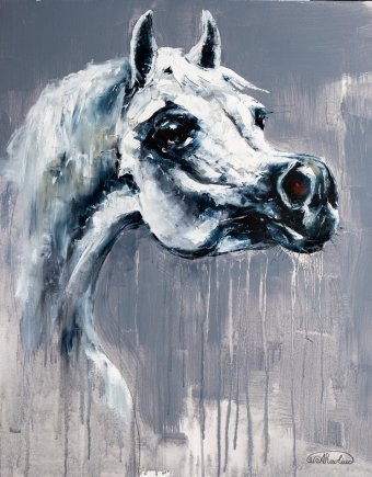 Horse Series. Arabian Princess
