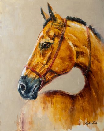 Horse Series. The Sun's Shadow