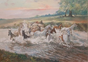 Дух дикой природы: гармония в движении