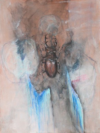 Peinture "Coléoptères II", peintre Lochter Andreas technique mixte carton à la Jose Art Gallery