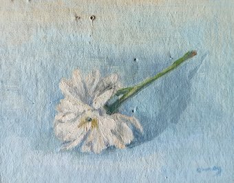 Malerei "Zarte Chrysantheme auf Blau", maler/-in Q May Öl Karton in der Jose Art Gallery