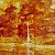 Symbol of Autumn: Ancient Textures of Nature – buy