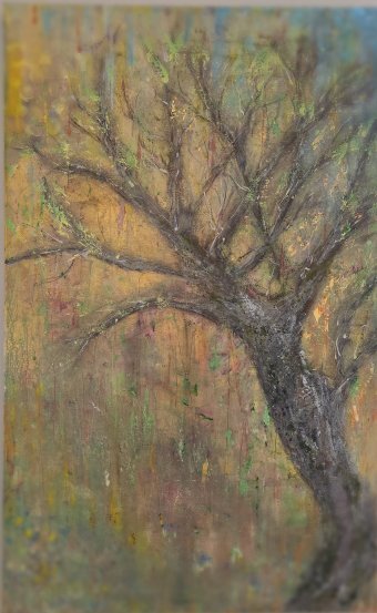 Spring is almost here: Awakening of nature