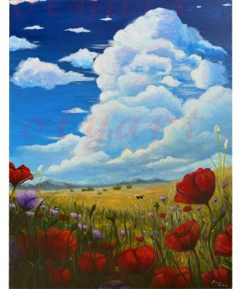 Poppy field 3