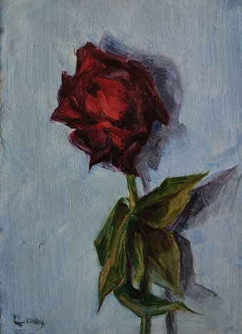 Malerei "Dunkelrote Rose", maler/-in Q May Öl Karton in der Jose Art Gallery
