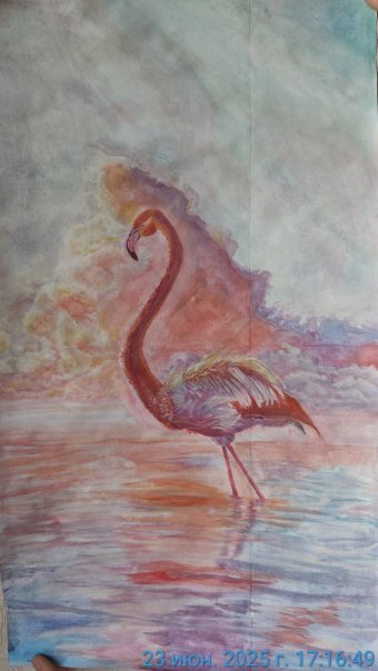 Рожевий Фламінго у Моря