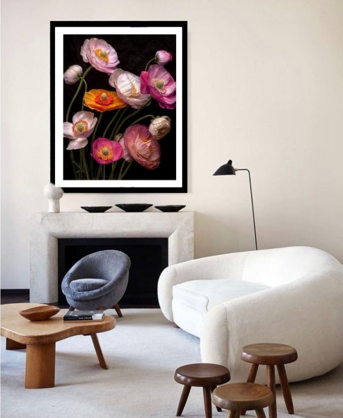 Immagine aggiuntiva 1: Colorato Natura Fotografia "Papaveri vivaci sbocciano sul nero", fotografo Michael F 