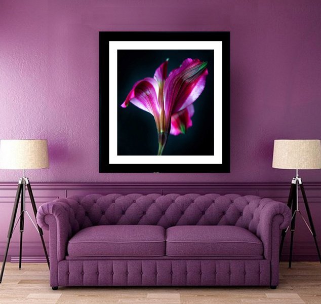 Immagine aggiuntiva 1: Colorato Natura Fotografia "Botanico 22: La bellezza delle fioriture primaverili", fotografo Michael F 