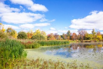 Фотография "Гарриман 12: Осенние размышления на озере", фотограф Michael F в Jose Art Gallery