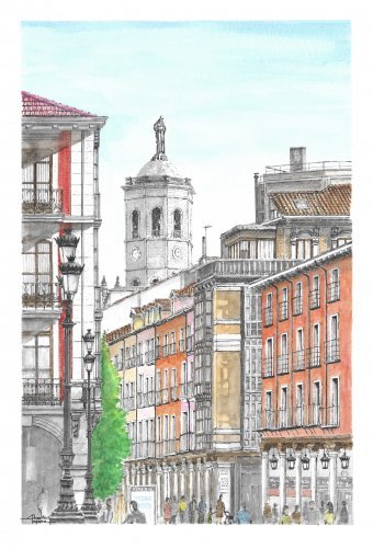 Valladolid, Cathedral and Plaza Mayor Urban View