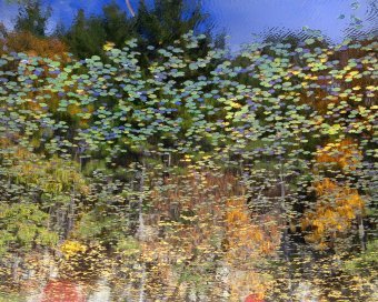 Reflection 17. Autumn's Calm in Nature