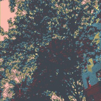 Silent Branches
