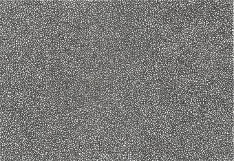 Drawing "GRAPHIC TRIFLES" by illustrator Robert Borynskyy pencil paper at Jose Art Gallery