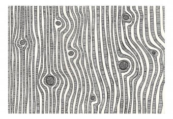 Grafica "SCIOCCHEZZE GRAFICHE", illustratore Robert Borynskyy matita carta alla Jose Art Gallery