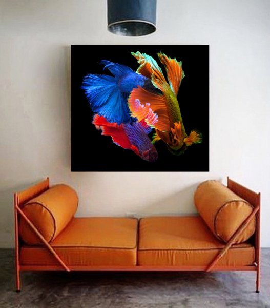 Image supplémentaire 1: Couleur La nature Photographie "Betta 12 : une vie colorée sous l'eau", photographe Michael F 