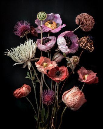 Velvet Requiem: Textured Floral Depth