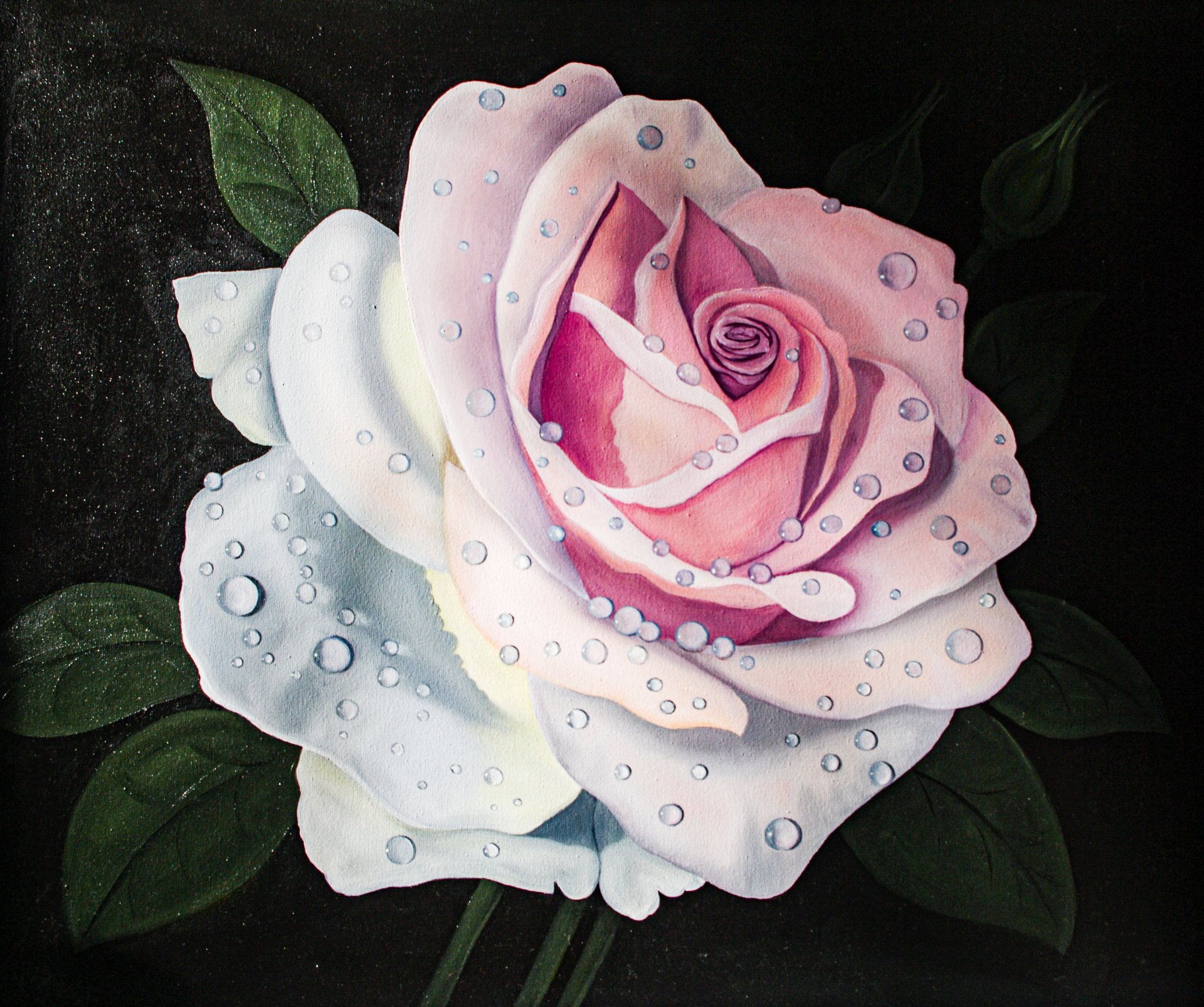 White rose Painting by Iryna Bila - Jose Art Gallery