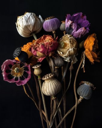 Elegy in Bloom 2: Nature's Fragile Resilience