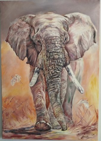 Majestic Elephant in Safari Wilderness