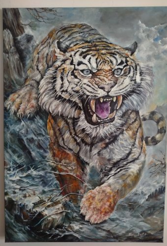 Wildlife Wonders