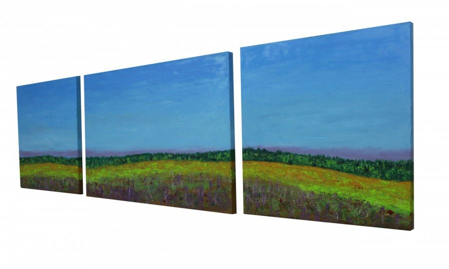 Summer Field (triptych) Painting by Andriy Klishyn