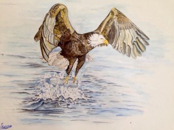 Free from Plastic: Nature in Revolt