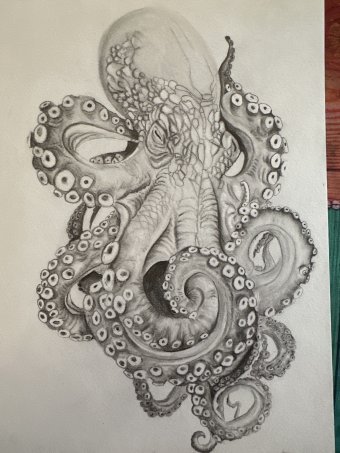 Majestic Octopus Elegy 2025