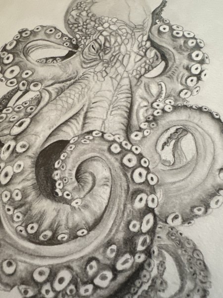 Imagen adicional 1: Arte conceptual Animalista Gráfico "Elegía del pulpo majestuoso 2025", ilustrador Babsy carbón papel 