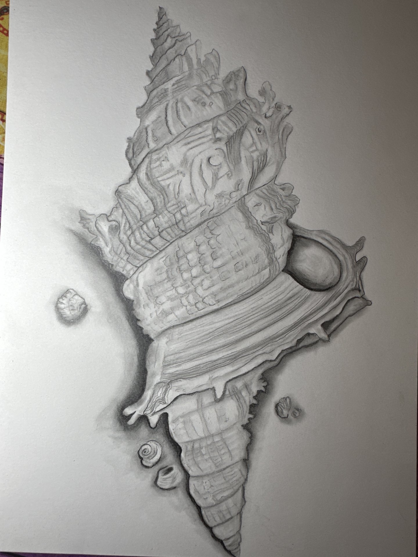 La voix de la mer Dessin - Babsy - Jose Art Gallery
