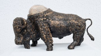 Спокойный бизон