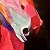 Horse (Collection Piece #1) – order
