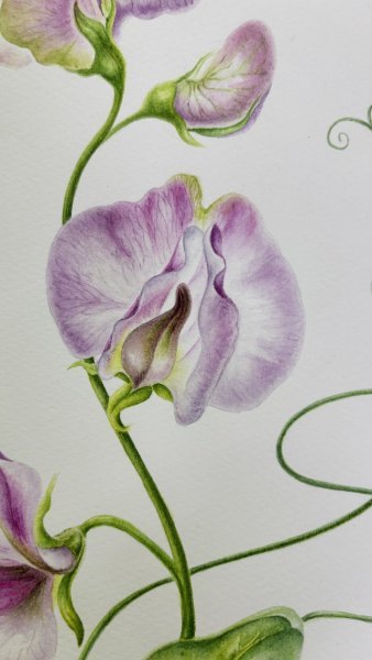 Dodatkowy obraz 4: Kolorowy Wnętrza Fotografia "Walc płatkowy", fotograf Tetiana Vlasenko 